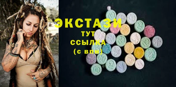 ECSTASY Богданович